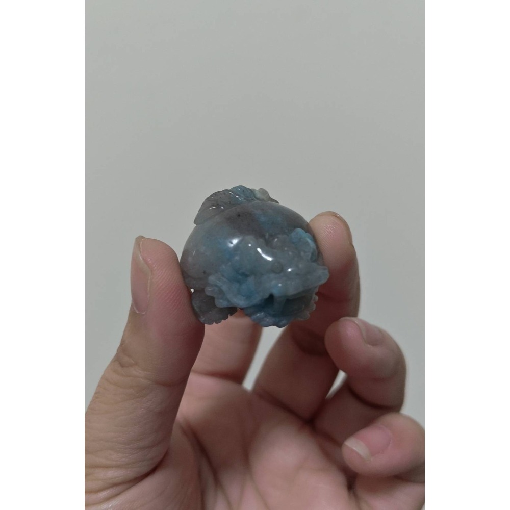 羥翎鋁龍龜-細節圖3