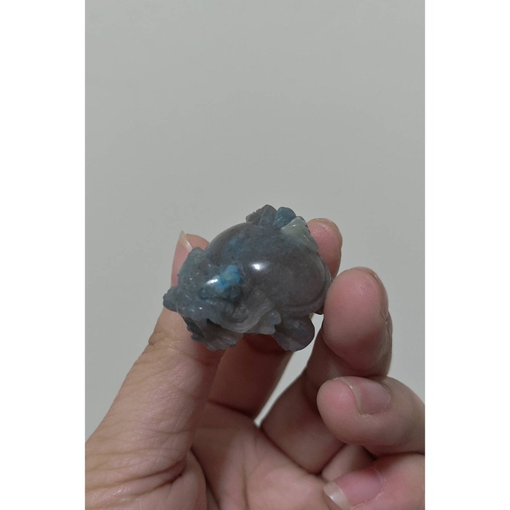 羥翎鋁龍龜-細節圖4