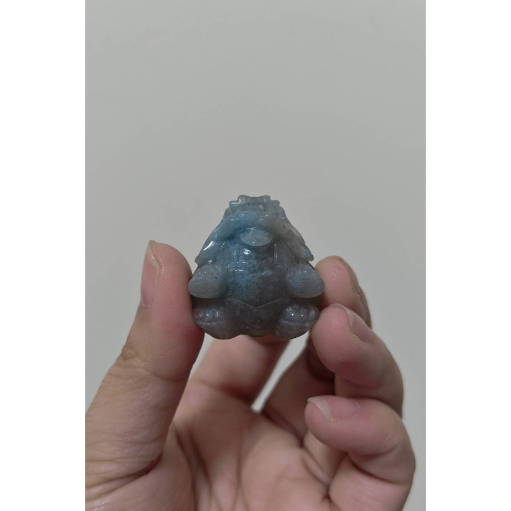 羥翎鋁龍龜-細節圖5