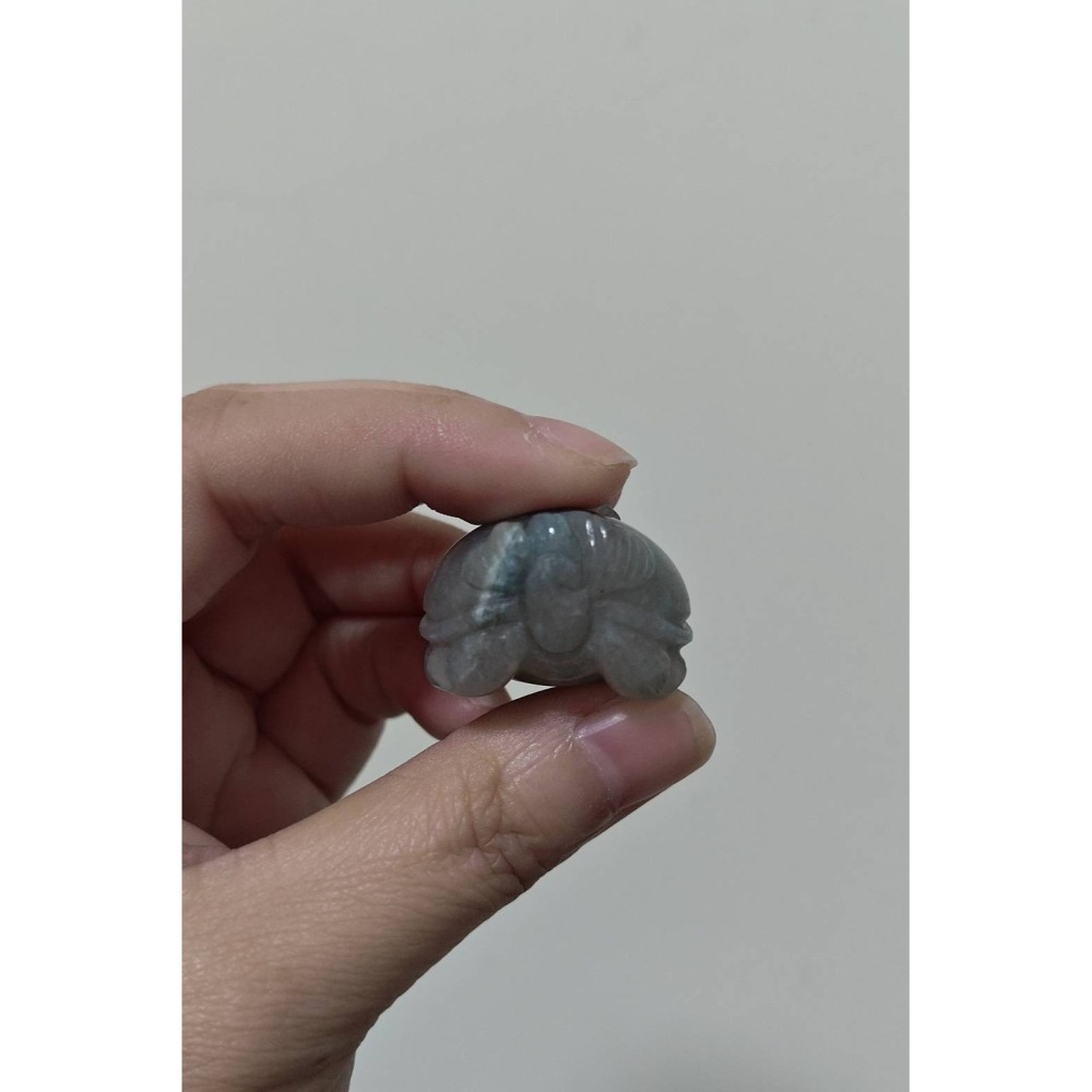 羥翎鋁龍龜-細節圖6