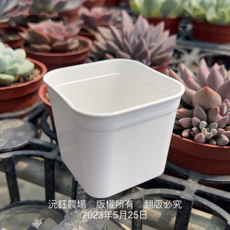 沅鈺農場   資材   萬用透氣盆-細節圖2