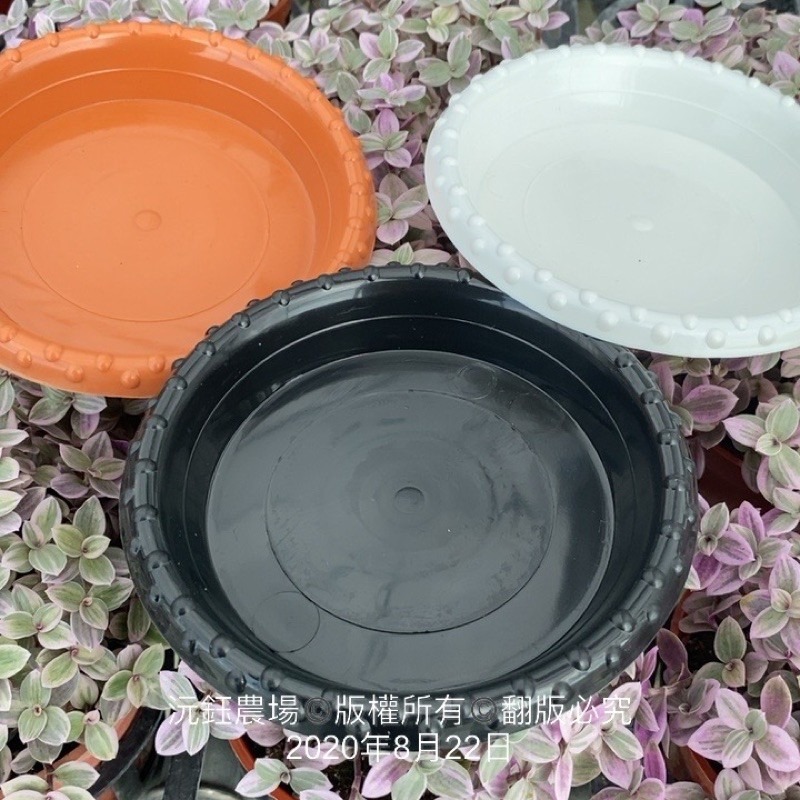 沅鈺農場   資材   圓型水盤-細節圖2