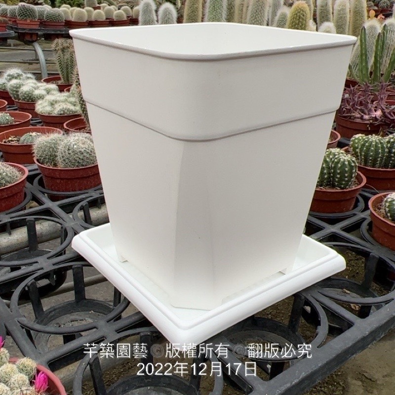 沅鈺農場   資材   方型水盤-細節圖4