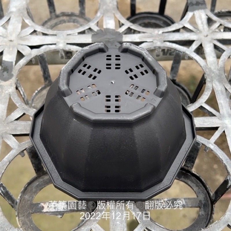 沅鈺農場   資材   12角盆-細節圖2
