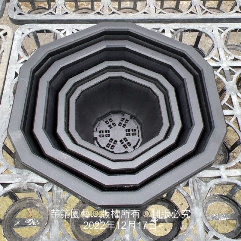 沅鈺農場   資材   12角盆-細節圖3