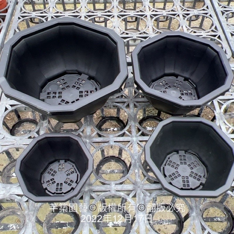 沅鈺農場   資材   12角盆-細節圖4