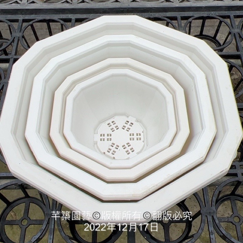 沅鈺農場   資材   12角盆-細節圖6