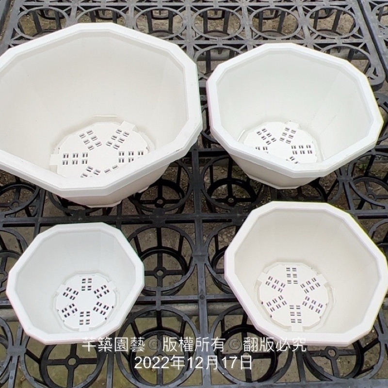 沅鈺農場   資材   12角盆-細節圖7