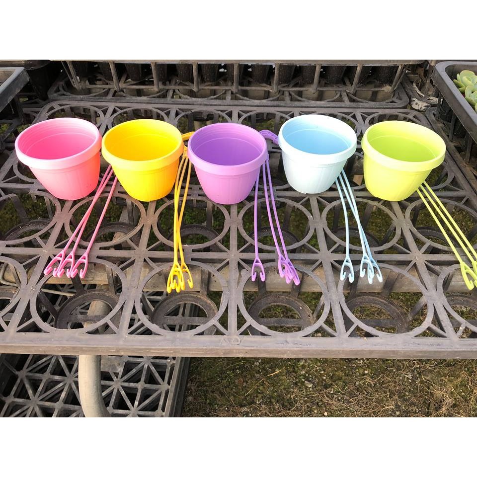 沅鈺農場   資材   彩色吊盆組-細節圖5