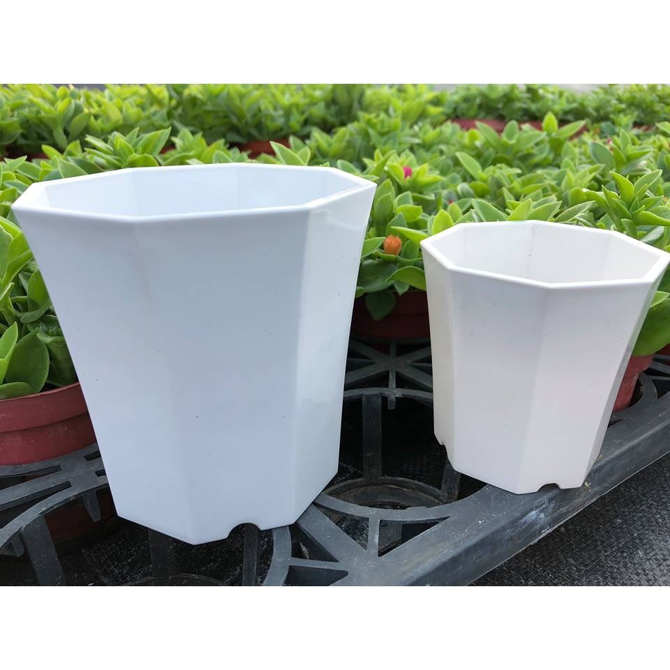 沅鈺農場   資材   仿瓷八角盆-細節圖2