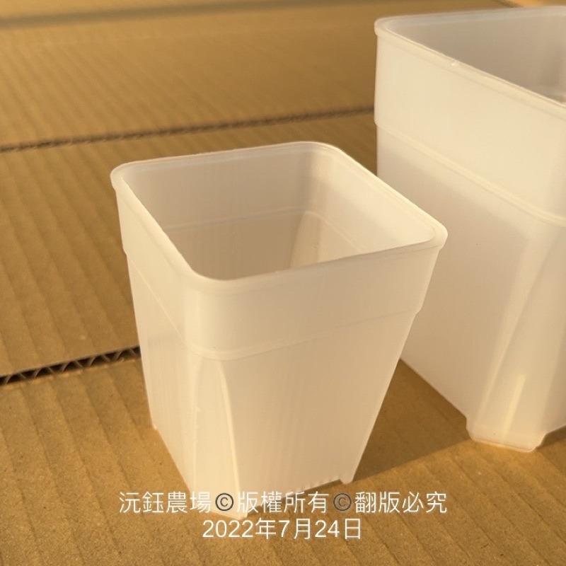 沅鈺農場   資材   多肉植物專用 透明 透氣盆（很好用的觀察盆）-細節圖2