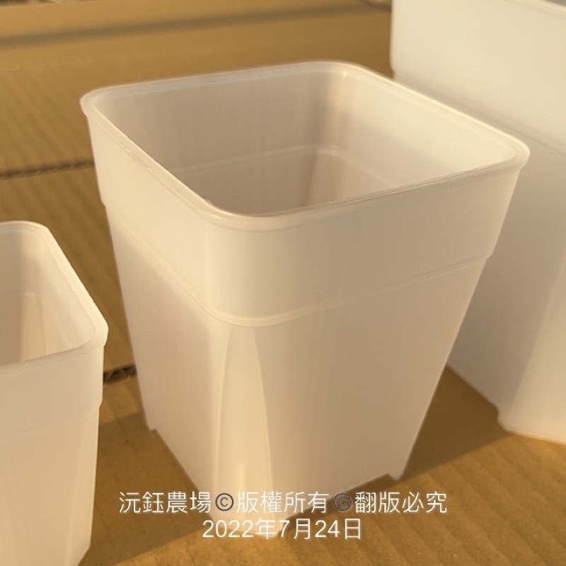 沅鈺農場   資材   多肉植物專用 透明 透氣盆（很好用的觀察盆）-細節圖3