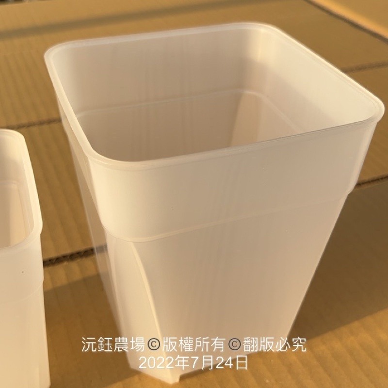 沅鈺農場   資材   多肉植物專用 透明 透氣盆（很好用的觀察盆）-細節圖4
