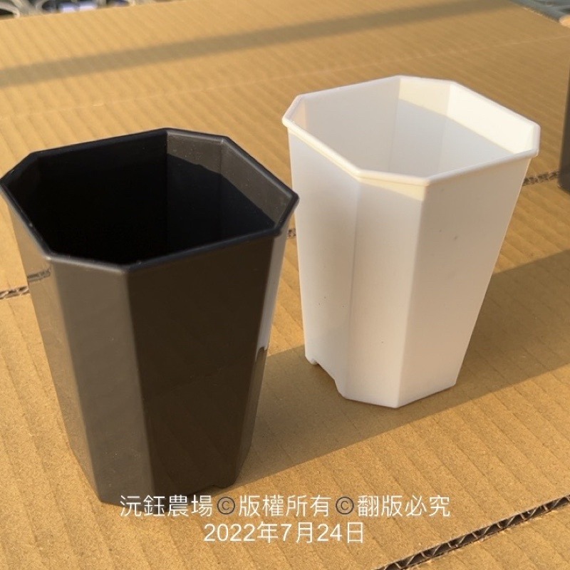 沅鈺農場   資材   百合盆-細節圖2