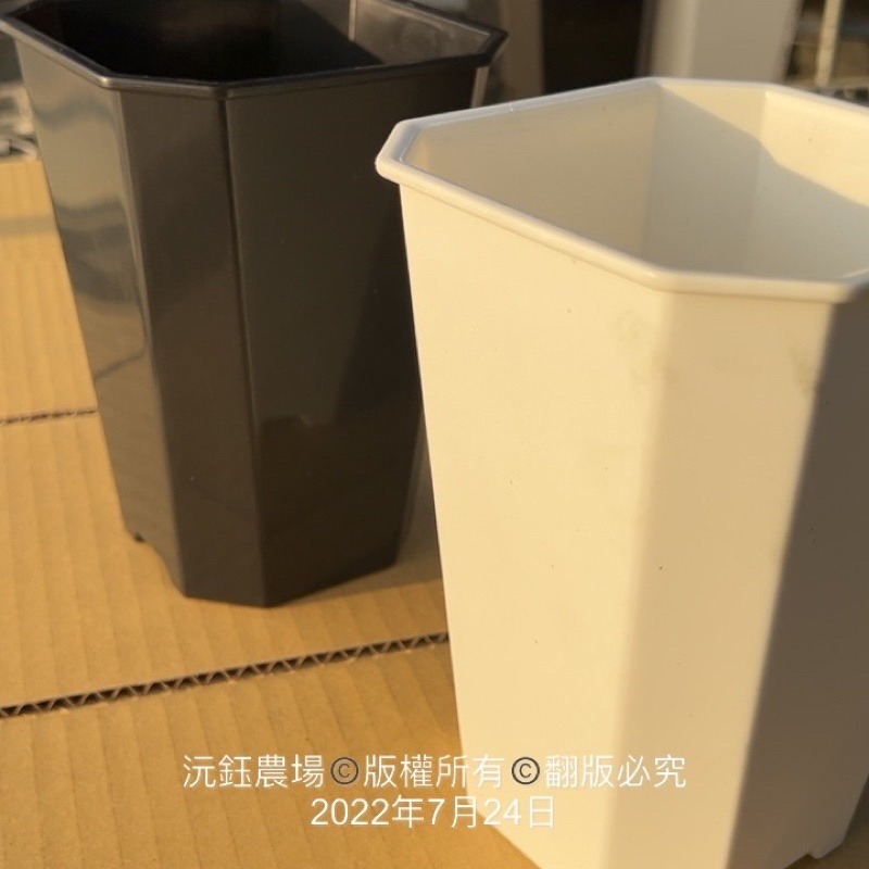 沅鈺農場   資材   百合盆-細節圖3