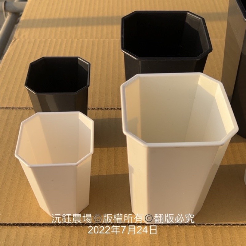 沅鈺農場   資材   百合盆-細節圖4