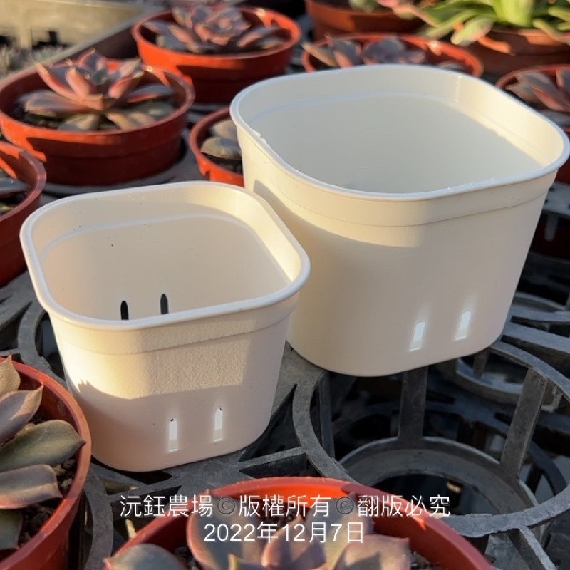 沅鈺農場   資材   圓角盆-細節圖2