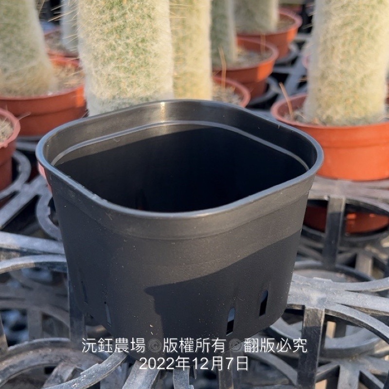 沅鈺農場   資材   圓角盆-細節圖3