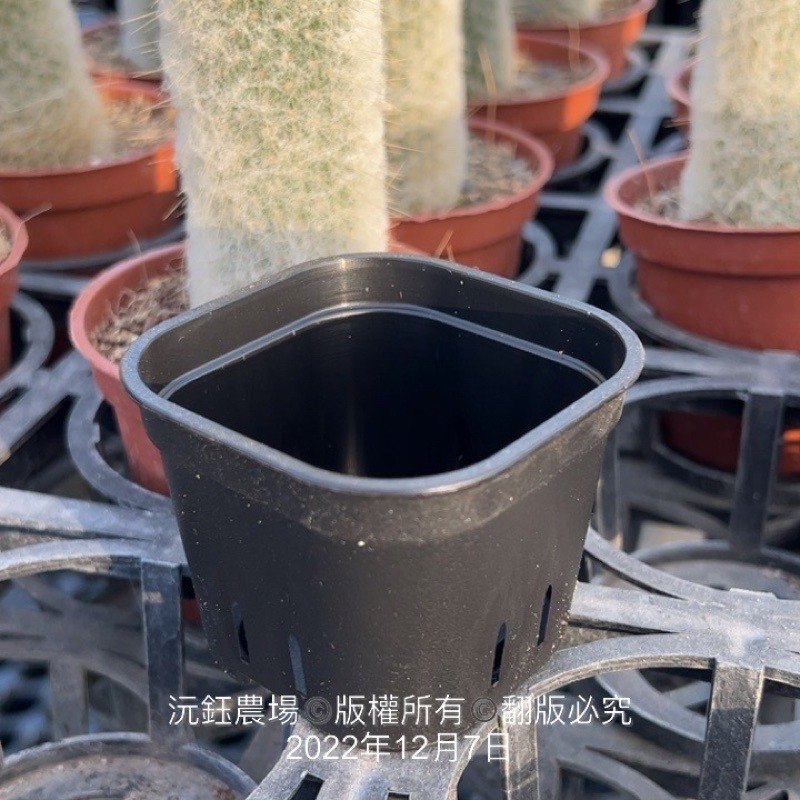 沅鈺農場   資材   圓角盆-細節圖4