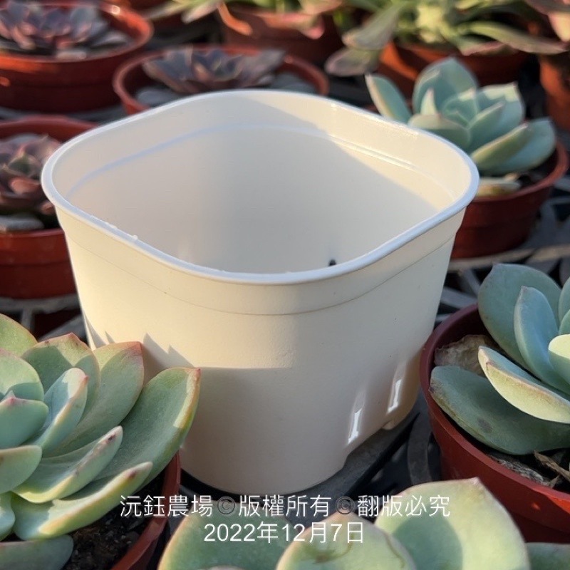 沅鈺農場   資材   圓角盆-細節圖5