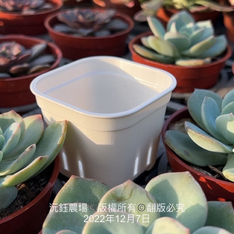 沅鈺農場   資材   圓角盆-細節圖6