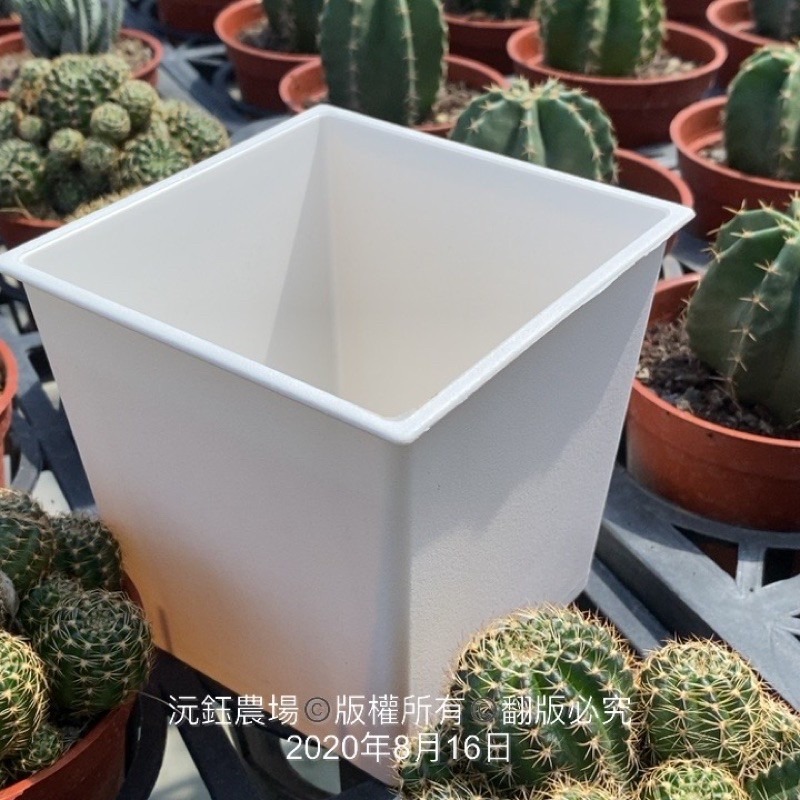 沅鈺農場   資材   方盆-細節圖2