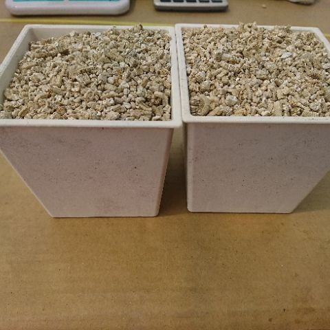 沅鈺農場   資材   蛭石-細節圖2