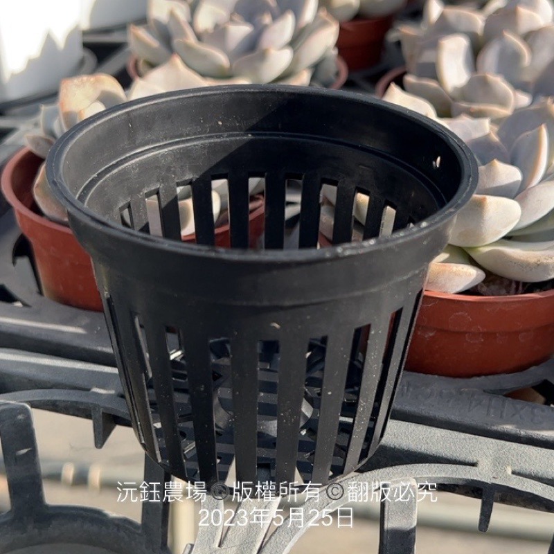 沅鈺農場   資材   水草盆  (透氣盆、懶人花盆內盆、鹿角蕨盆、水族水草栽培、多肉植物栽培、鹿角蕨、透氣控根、蘭花)-細節圖3