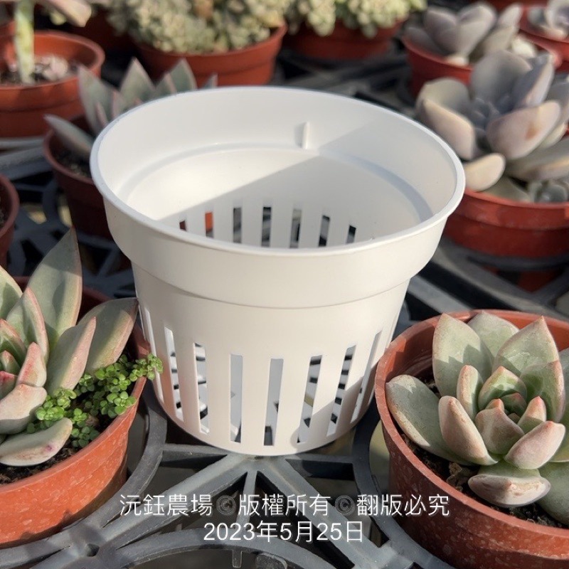 沅鈺農場   資材   水草盆  (透氣盆、懶人花盆內盆、鹿角蕨盆、水族水草栽培、多肉植物栽培、鹿角蕨、透氣控根、蘭花)-細節圖4