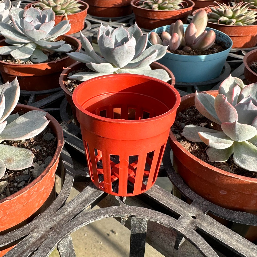 沅鈺農場   資材   水草盆  (透氣盆、懶人花盆內盆、鹿角蕨盆、水族水草栽培、多肉植物栽培、鹿角蕨、透氣控根、蘭花)-細節圖5