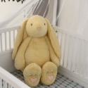 店鋪預購！大嗨皮兔安撫玩偶-規格圖2