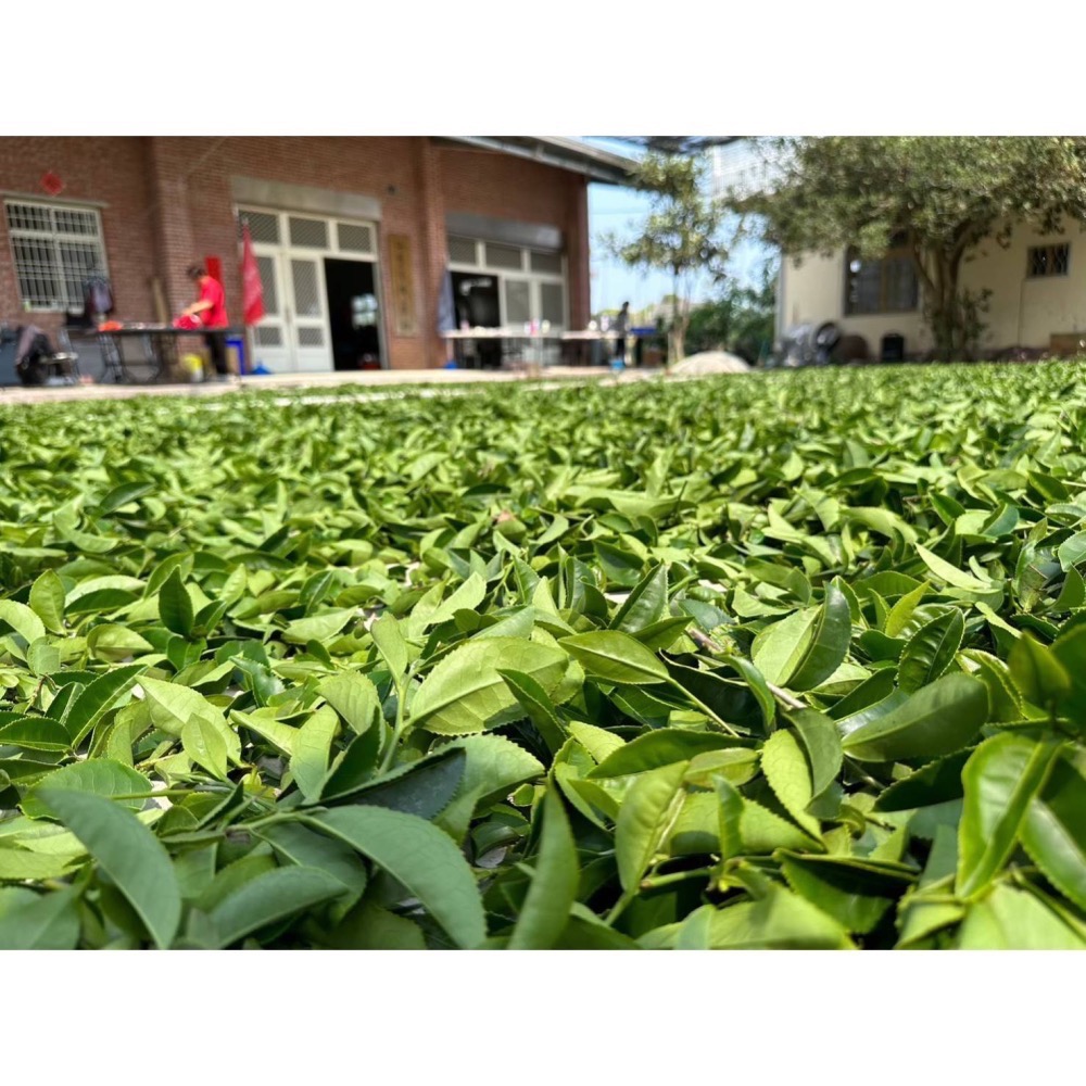 台灣紅禮盒-細節圖3