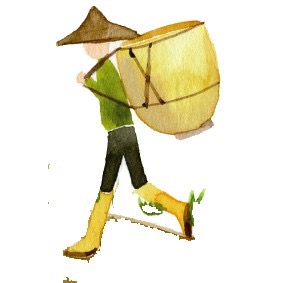 有機凍頂烏龍茶-細節圖2