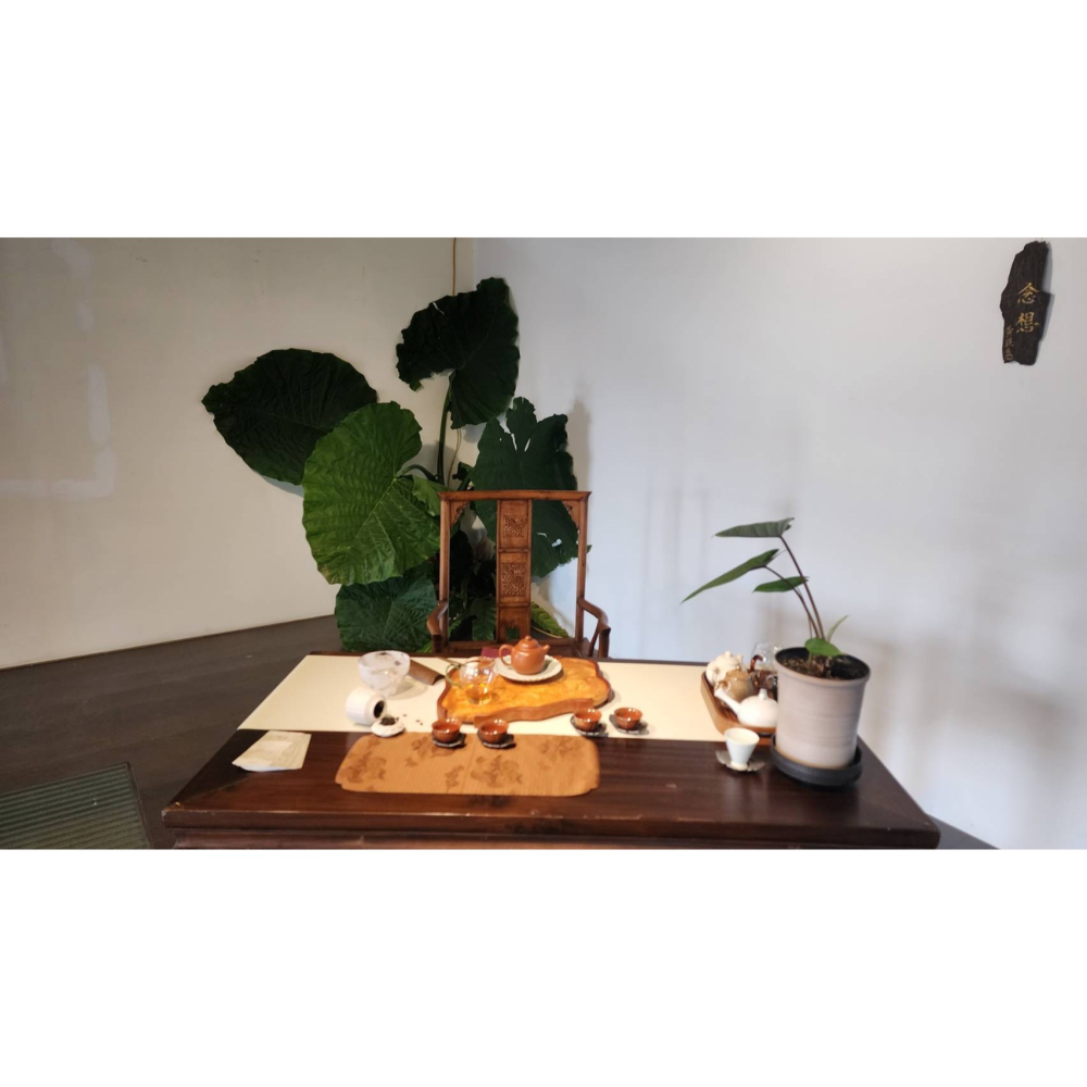 有機碳焙烏龍茶-細節圖3