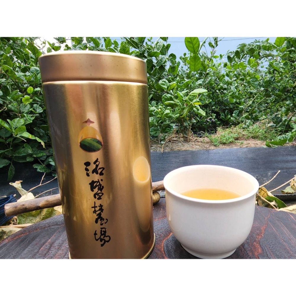 黃金桂花茶-規格圖5