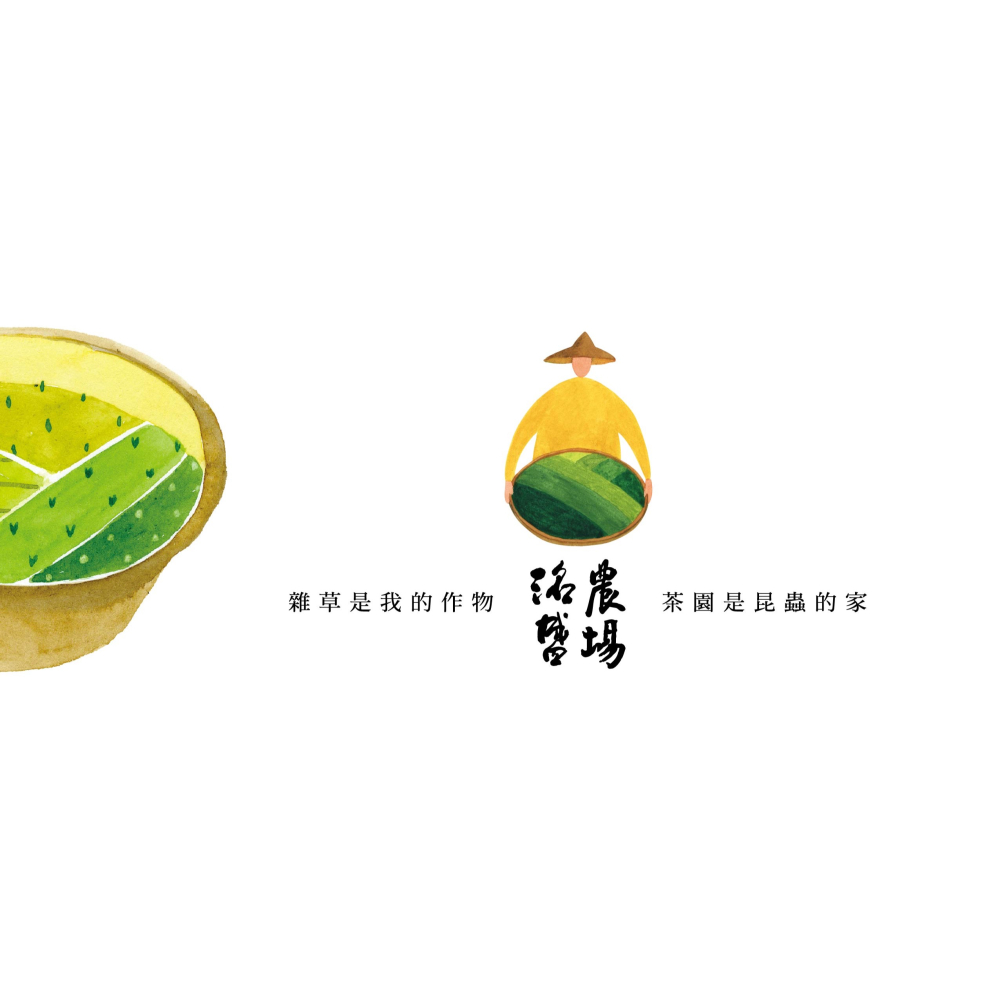 ＬＡＭＡ薑紅茶包-細節圖4