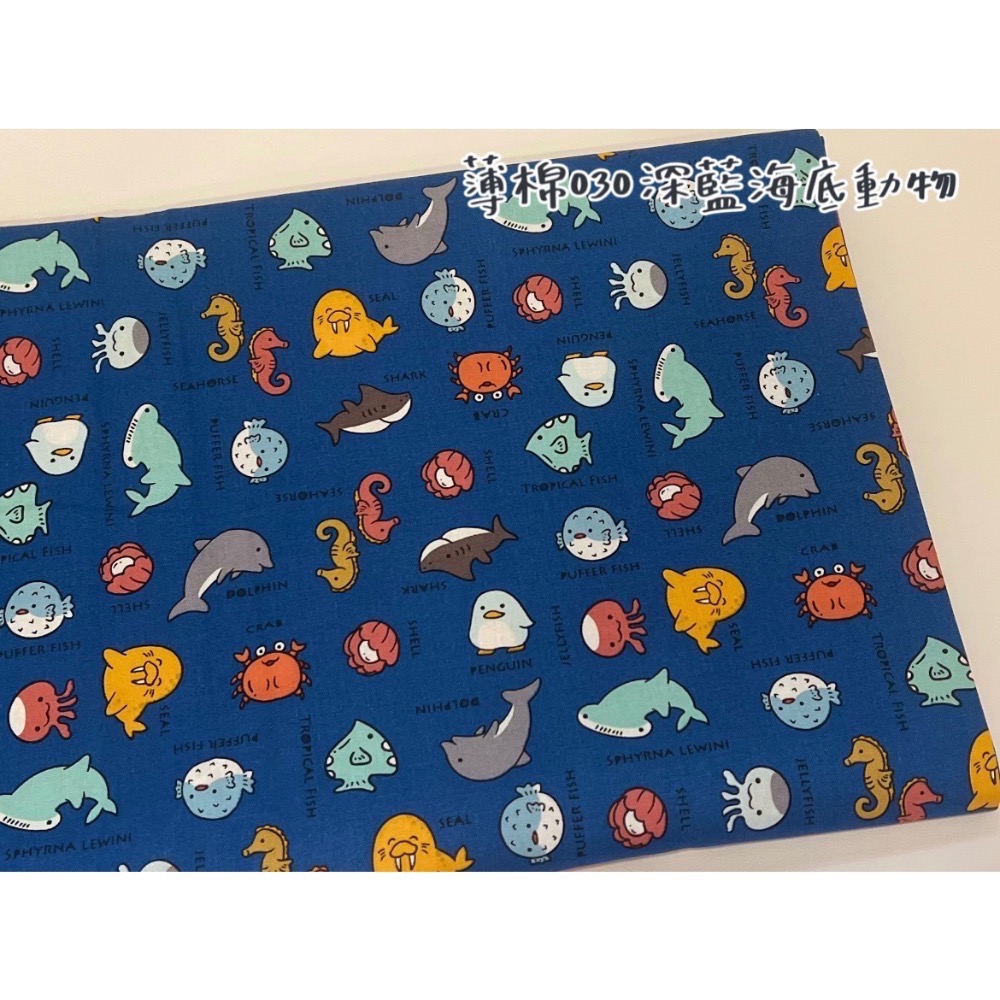 [預購]領子圍兜兜-選布第一區-規格圖1