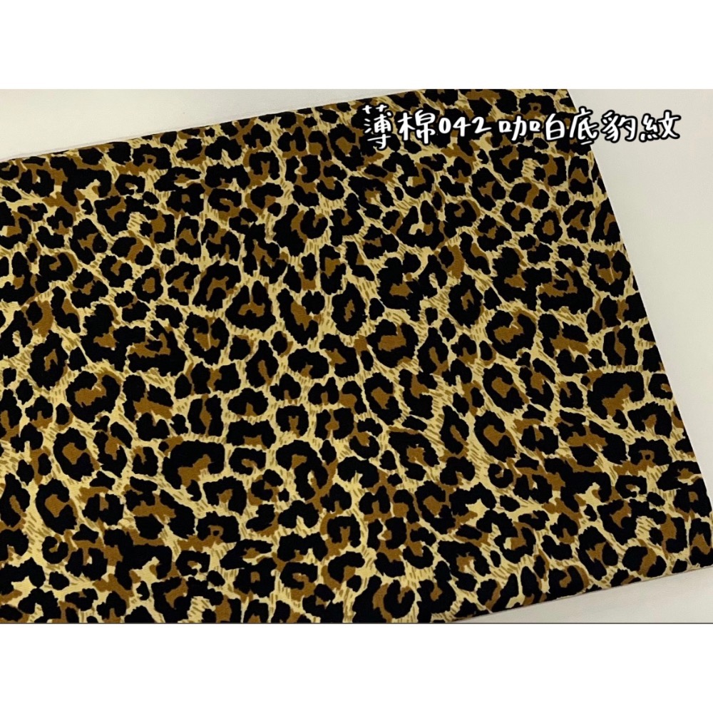 [預購]霧面透明小包(當拖藥袋、化妝包等小物收納)-規格圖1