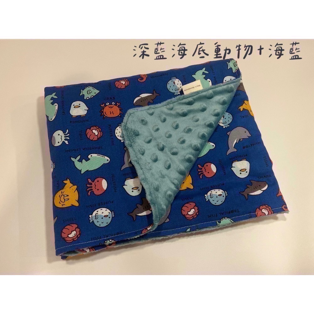 [預購]暖心豆豆毯系列-選布第一區-細節圖4