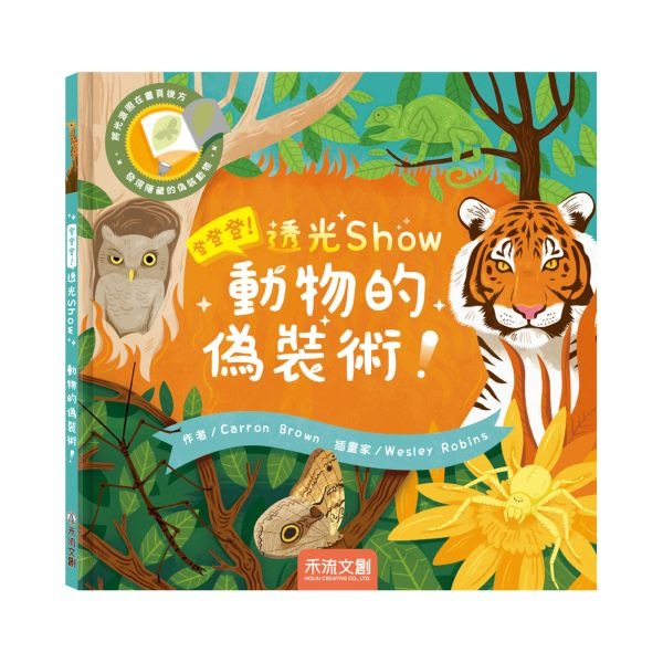 登登登！透光Show-規格圖1