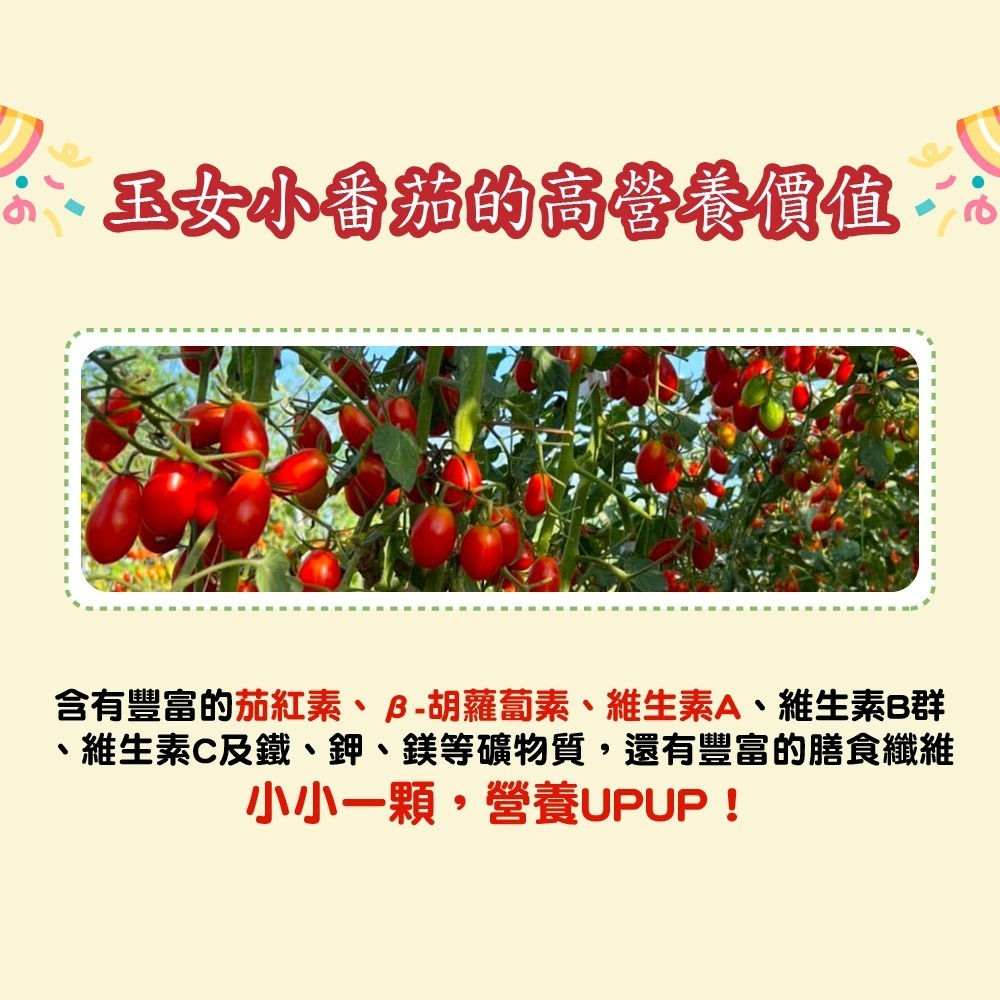 【家購網嚴選】溫室玉女小番茄 4斤/盒-細節圖4