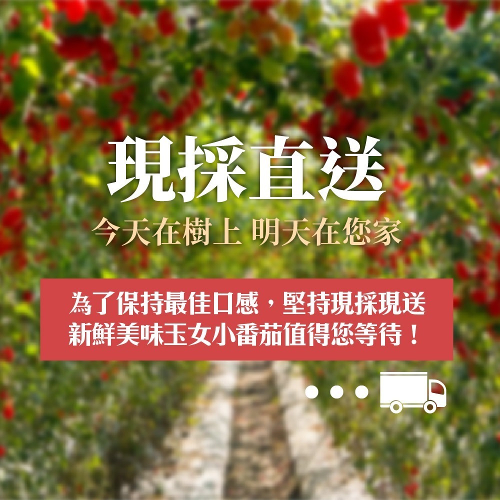 【家購網嚴選】溫室玉女小番茄 4斤/盒-細節圖6