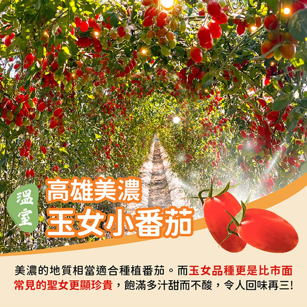 【家購網嚴選】溫室玉女小番茄 10斤/盒-細節圖2