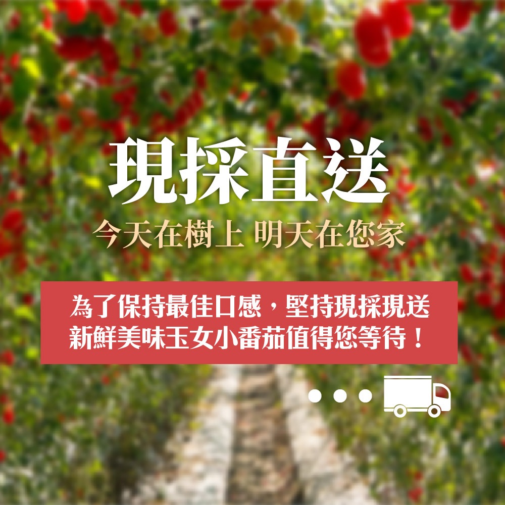 【家購網嚴選】溫室玉女小番茄 10斤/盒-細節圖6