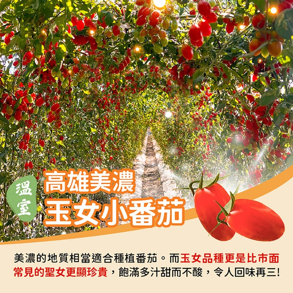 【家購網嚴選】溫室玉女小番茄 10斤/盒-細節圖2