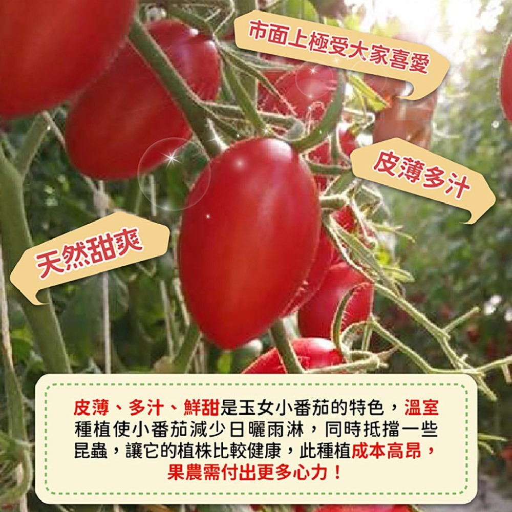 【家購網嚴選】溫室玉女小番茄 10斤/盒-細節圖3