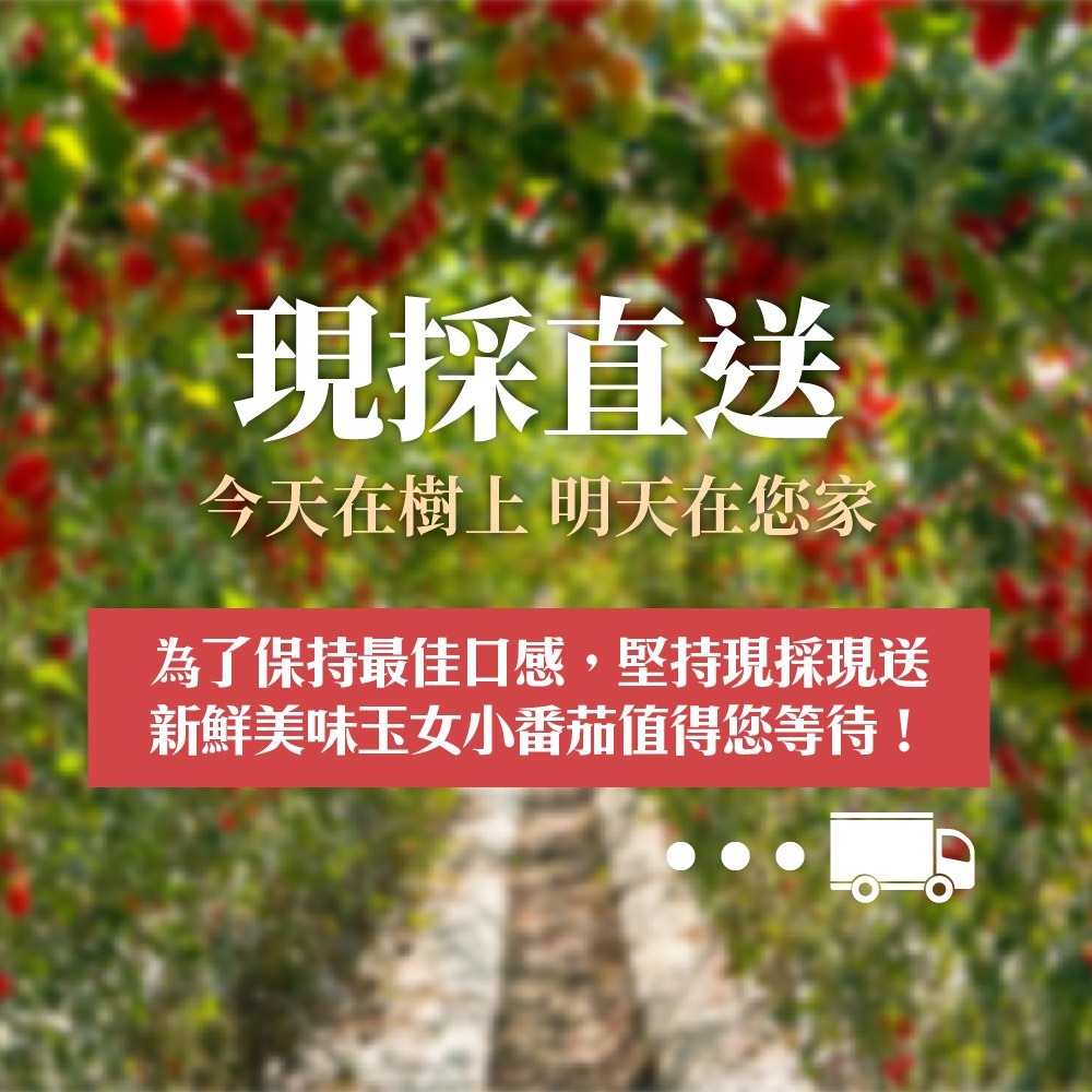 【家購網嚴選】溫室玉女小番茄 10斤/盒-細節圖6