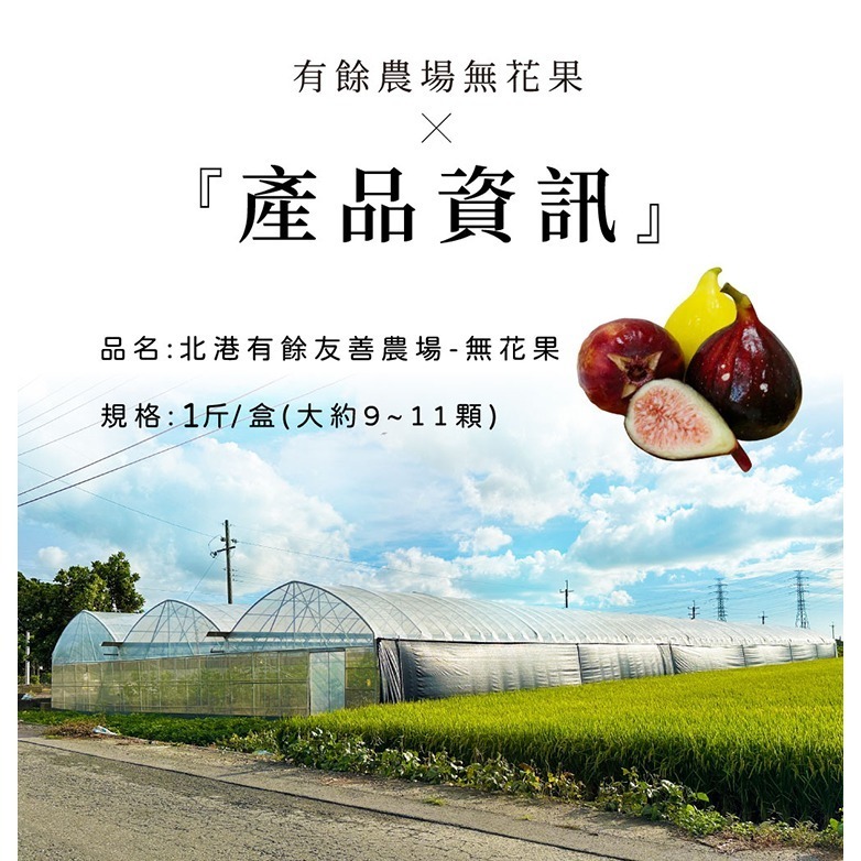 【家購網嚴選】雲林有餘農場 無毒三色無花果禮盒 1斤(約9-11顆/盒) 冷藏宅配-細節圖5