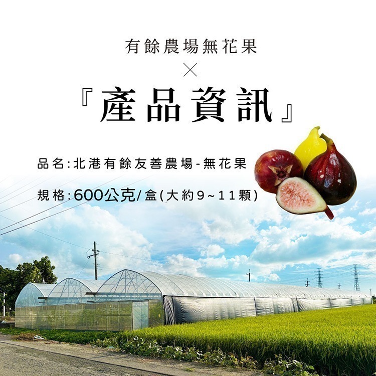 【家購網嚴選】雲林有餘農場 無毒三色無花果禮盒 1斤(約9-11顆/盒) 冷藏宅配-細節圖2