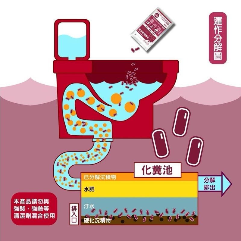 易護家 🏠 化糞池除臭粉劑 馬桶分解菌 酵素菌 100g 巨融化學-細節圖3